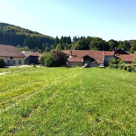 Gite Le Geleinfete II Vosges A Proximite De Gerardmer Herpelmont Bagian luar foto